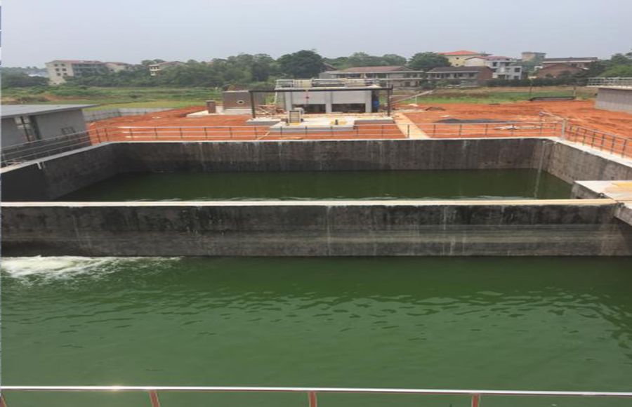 Sewage treatment case of Xihu Flower Market in the Pearl River