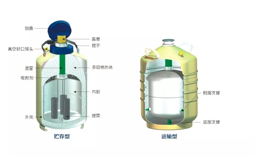 Types of liquid nitrogen tanks