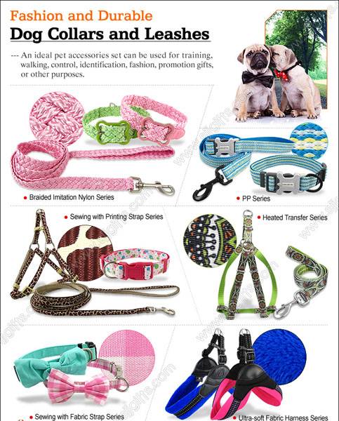 Durable Dog Leashes & Collars