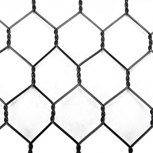 pvc ti a bo Hexagonal Wire Mesh