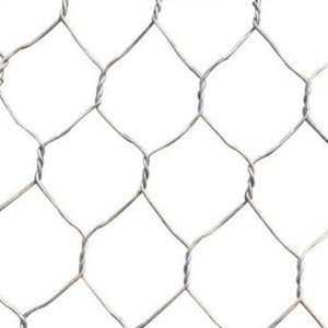 Tlholisano Theko bakeng sa China Molemo Manufacturer Phahameng ka Galvanized Hexagonal Wire Mesh