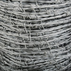 galvanized/hot dip galvanized/PVC coated barbed wire (Shina)