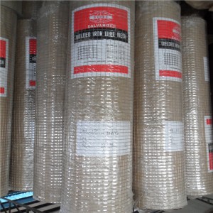 i-galvanized wedled wire mesh-A6