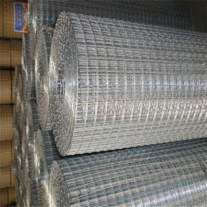 galvanized wedled wire mesh-A6