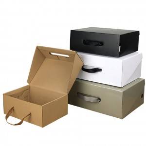 Portable shoe box