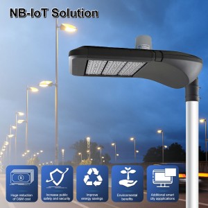 BOSUN NB-IoT Smart көше жарығы шешімі S...