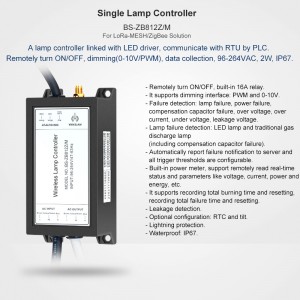 LoRa-MESH/ZigBee lahenduse LED-draiviga ühendatud ühe lambi kontroller