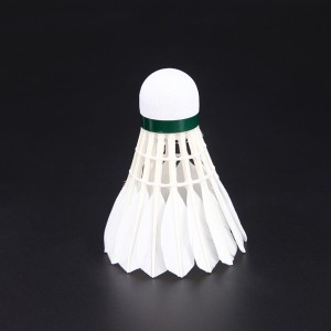 Best-Selling China Portable High Quality Badminton