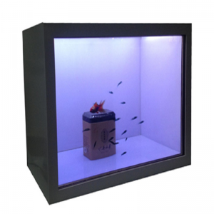 Kabinè ekspozisyon LCD transparan