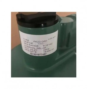 assurance Serie trykreduktionsventil R622-DFF Gastrykregulator Maskine
