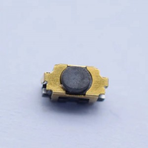Ilgstoši apzeltīts 2 kontaktu 2 × 4 taustes slēdzis 0,5 A 12 V sānu poga smd taktiskais slēdzis mikro spiedpogas slēdzis SKSLLCE010