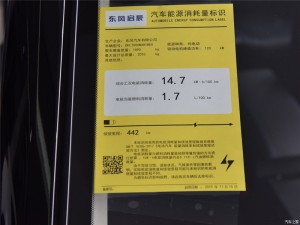 Dongfeng Nissan-Qichen t60ev
