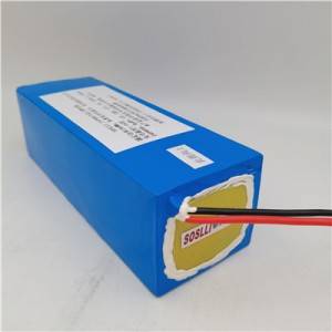 Wholesale Price Lithium Ion Battery 150ah - 24V 25.2V 9AH Lithium Ion battery pack with built in BMS – Soslli