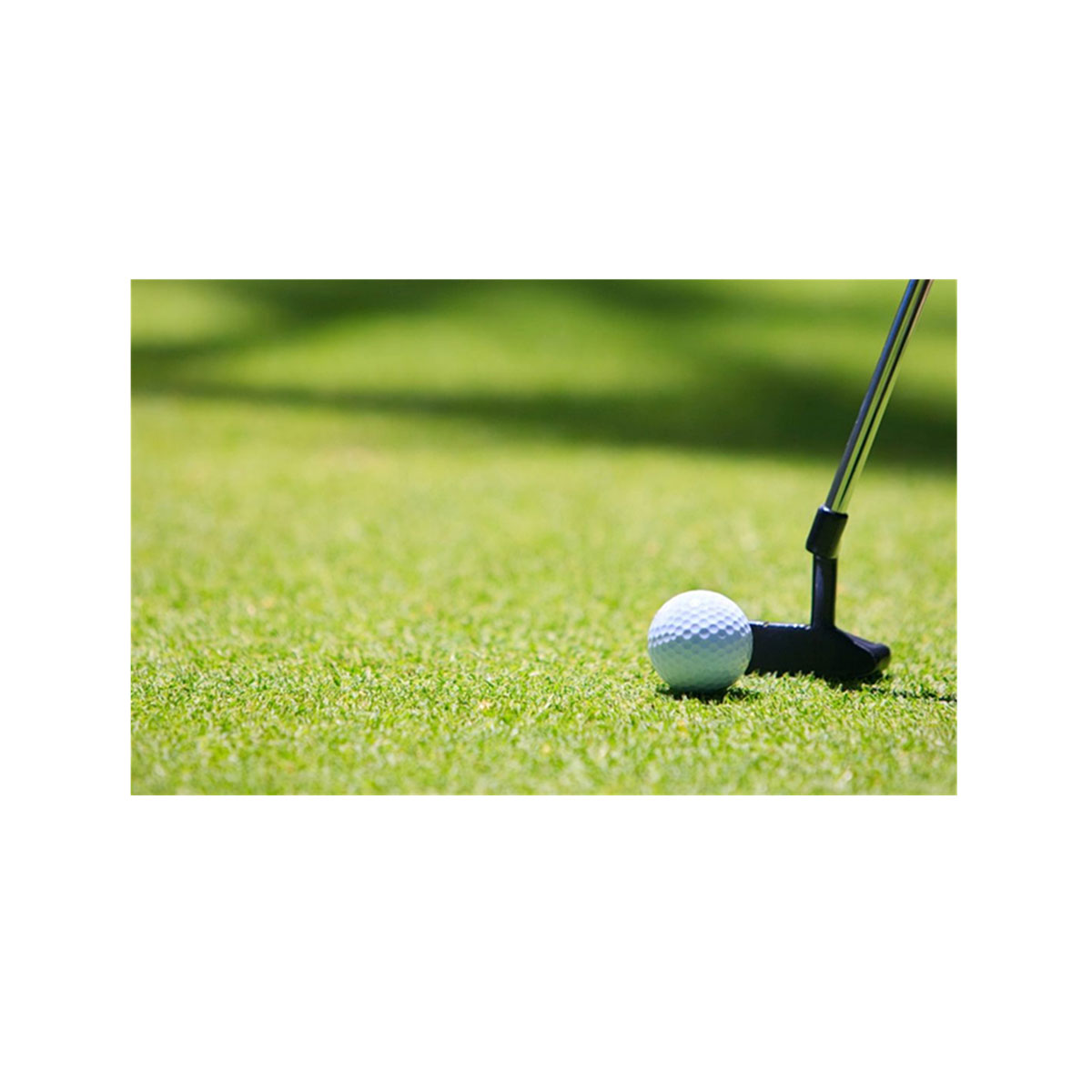 דשא מיני גולף מקצועי דשא מלאכותי גולף בחוץ