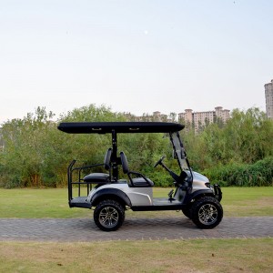 SPG Lory Cart 2+2 seat Solar Allroad ມີມໍເຕີ AC
