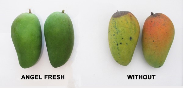 We hope to provide even better fresh-keeping methods for the mango season in the Southern Hemisphere