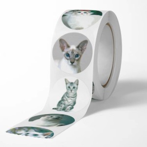 OEM Kilang Langsung 500 keping Roll Pelekat Kotak Penghantaran Kucing Comel 1 Inci untuk Perniagaan