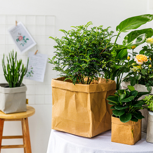 China Custom Eco Friendly Plants Bunga Tas Belanja Kantong Kertas Penyimpanan Kraft yang Dapat Dicuci untuk Makanan Buah