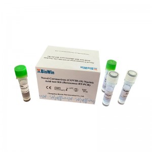 SPTC-XG006 Réactif de détection d'ARN (Florescence RT-PCR)