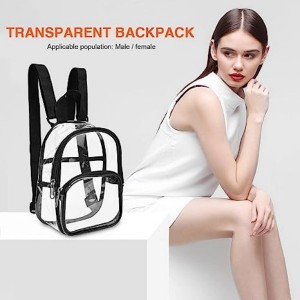 Heavy Duty Transparent Clear Backpack