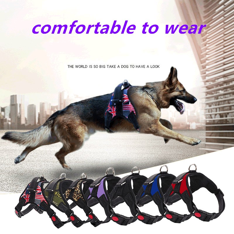 Reasonable price Automatic Retractable Dog Walker - Medium and large dog chain, pet vest, collar, safety vest, harness, explosion-proof chest harness with adjustable strap and buckle clip, dog lea...