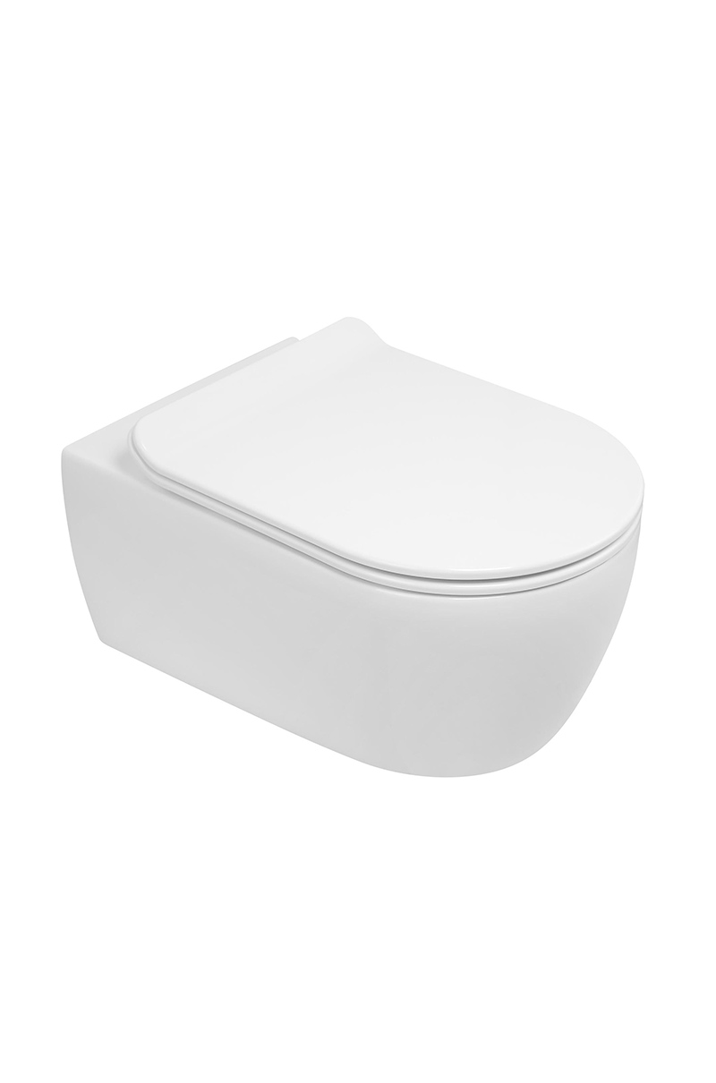 SSWW WALL HUNG TOILET CT2039V