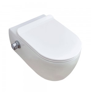 Best Price on Wc Toilet - SSWW WALL-HUNG TOILET /CERAMIC TOILET CT2039V-B – SSWW