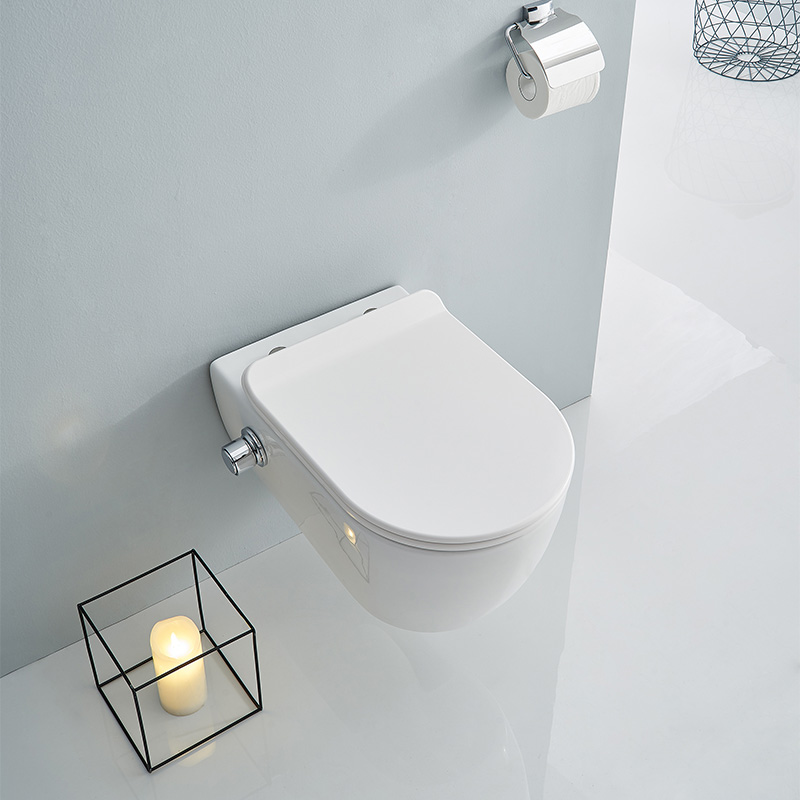 SSWW WALL-HUNG TOILET WITH BIDET FUNTION CT2019V-B (with bidet function) Featured Image