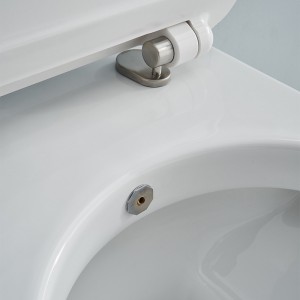 SSWW WALL-HUNG TOILET WITH BIDET FUNTION CT2019V-B (with bidet function)