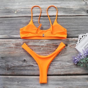 Kundenspezifischer privater Logo-Großhandel gepolsterter Push-up-Badebekleidungs-Leopard-Bikini für Frauen 2020