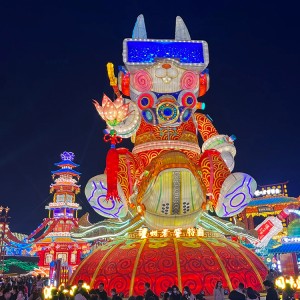 Zigong Déieren Kanéngchen Festivitéiten Lantern Show