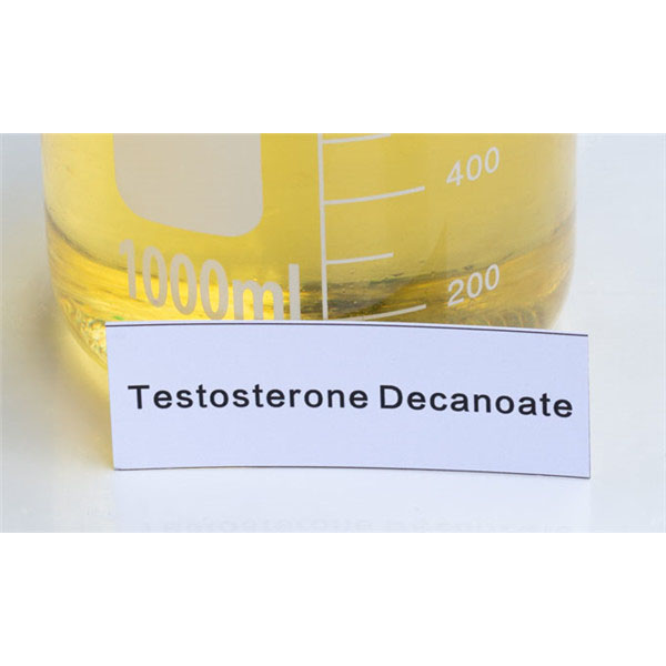 Steroid Hormone Testosterone Decanoate For Muscle Growth CAS