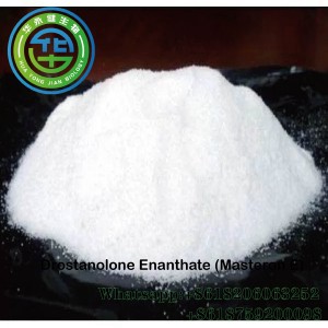 Weißes Bodybuildingsteroid Drostanolone pulverisiert reines Benzocainpulver CasNO.472-61-145 Drostanolone Enanthate