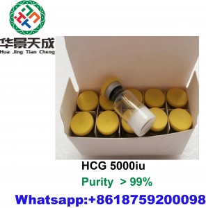 Human Chorionic Gonadotropin HCG 5000IU สำหรับกระตุ้น Progesterone