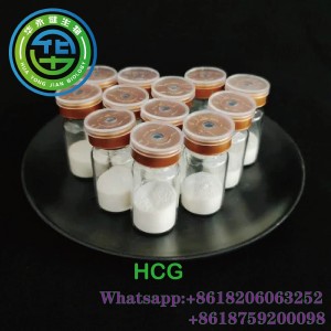 HCG 50000IU Cas 9002-61-3 gonadotropinas progesterono nėštumui žmogaus chorioninis