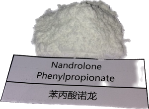 Инъекциялык анаболикалык стероиддер порошок Nandrolone Phenypropionate/Npp Durabolin булчуңдардын пайдасына