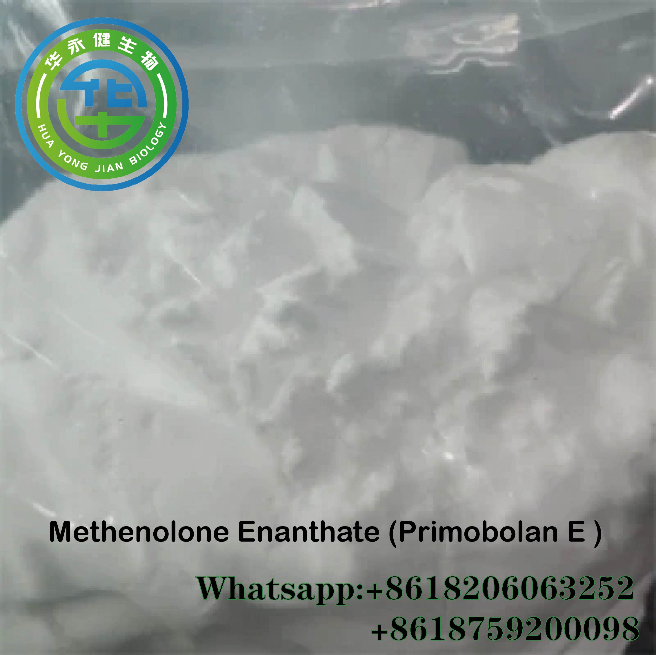 Primobolan Enanthate Effective Oral Primobolan Enanthate , 99% Purity Methenolone Enanthate پائوڊر CasNO.303-42-4 خاص تصوير