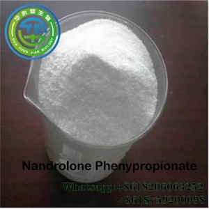 Nandrolone Phenylpropionate Gwrth Heneiddio Durabolin NPP Hormon Steroid Ar gyfer Adeiladu Cyhyrau CAS 7207-92-3