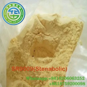 Stenabolisk renhet 99 % mänskligt råsteroid pulver Sarms SR9009 för muskeluppbyggnad CasNO.1379686-30-2