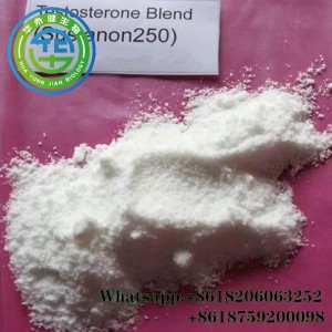 GMP Sustanon250 Pluhur testosteroni anabolik steroid i injektueshëm Testosterone Sustanon S250