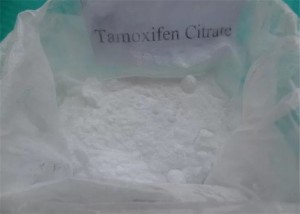 اينٽي ايسٽروجن نولواڊيڪس CasNO.54965-24-1 لاءِ 99٪ خالص اسٽريڊ پائوڊر Tamoxifen Citrate