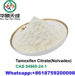 Anti Estrogen Steroids Tamoxifen Citrate Powder Against Breast Cancer Nolvadex CasNO.54965-24-1