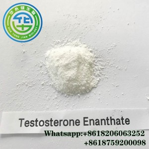Healthy Anabolic Test Enanthate Steroid Hormones 150mg/Ml Test E Testosteron Enanthate Steroid Pulver