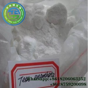 Testosterone Enanthate Injectable Anabolic Steroids Test E Enanject 250mg/ml Alang sa Muscle Mass
