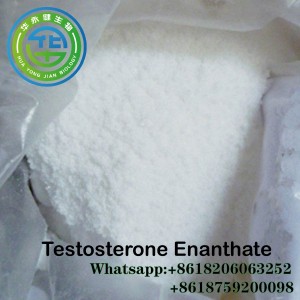 99% טוהר טסטוסטרון Enanthate אבקת סטרואידים CAS 315-37-7 Test E הורמון מין זכר מבחן Enanthate אבקת