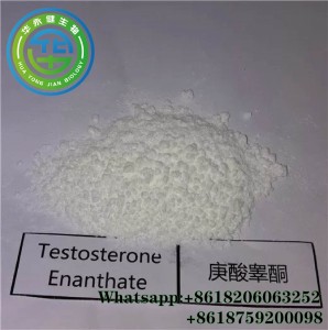 CasNO.315-37-7 Тестостерон енантат Тест за анаболни стероиди за бодибилдинг Е Течно масло за инекции Enanject