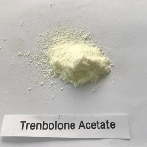Trenbolona acetāta neapstrādātu steroīdu pulveris Tren A ķermeņa veidošanai ar augstu tīrības pakāpi CasNO.10161-34-9