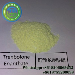 Tren Enanthate پائوڊر 99٪ Injectable Tren Anabolic steroid Trenbolone Enanthate CAS 472-61-5