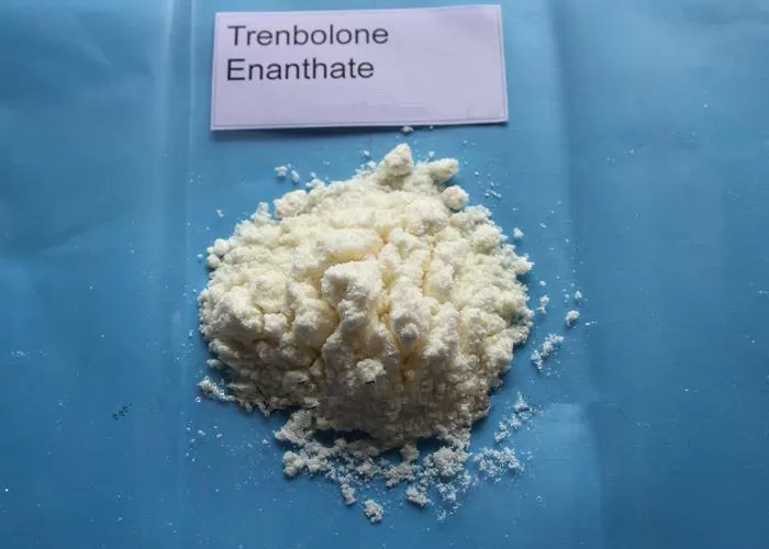 Trenbolone Enanthate Cutting Cycle Steroid Parabolan Tren E Powder CasNO.472-61-5