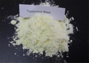 Androgenes steroidales Hormon Bodybuilding Trenbolone-Pulver Trenbolone-Basiszyklus Steroidpulver CAS 10161-33-8